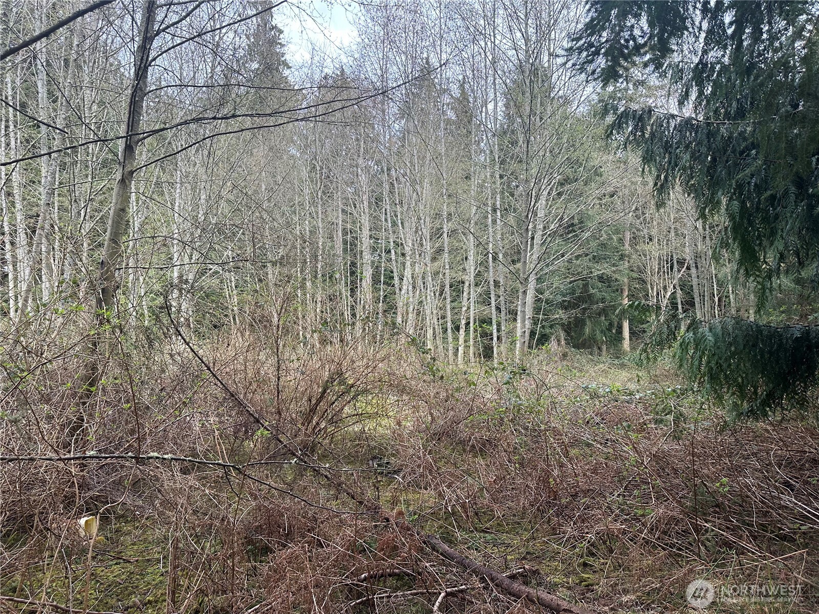 0 Lot 12 Harbor Sands Lane Property Photo