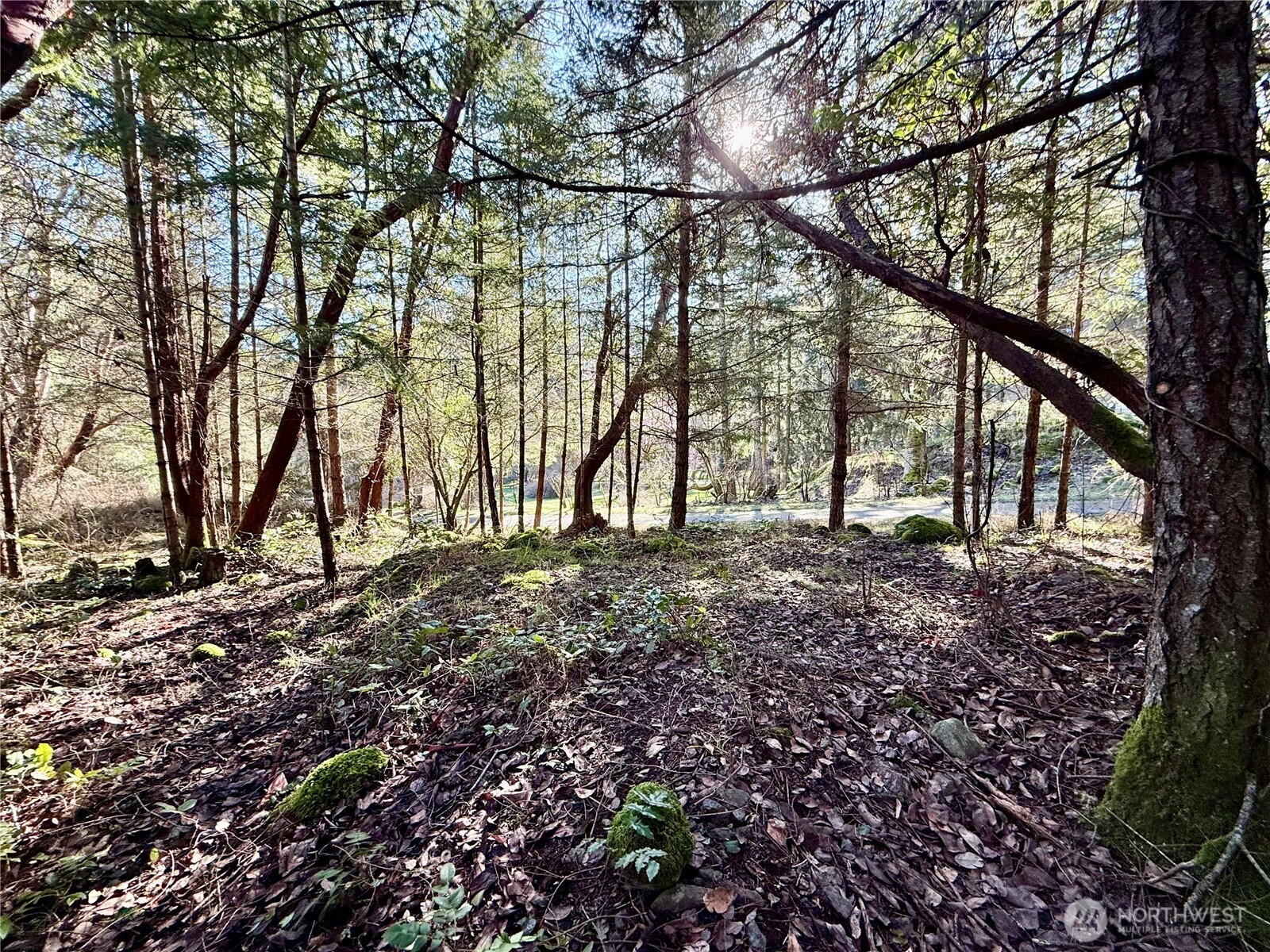 10 Kittiwake Lane Property Photo