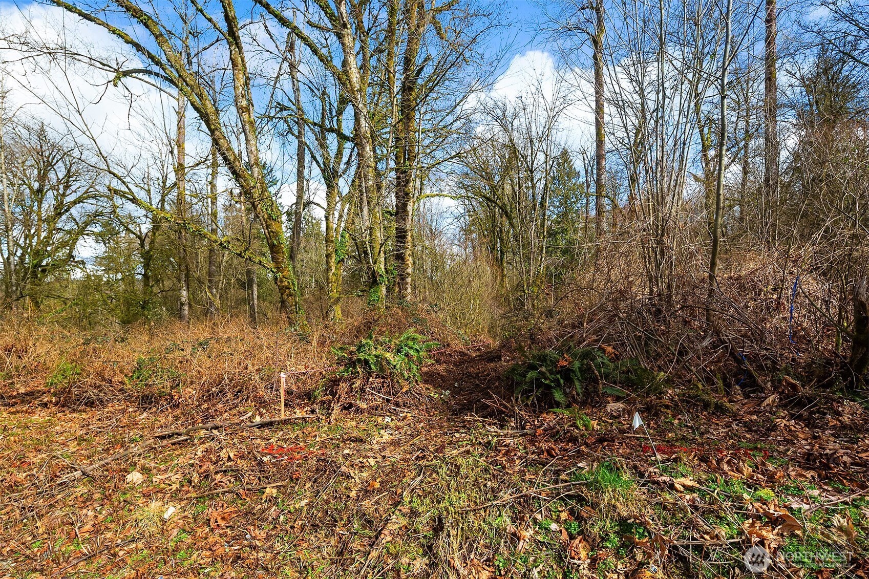 18901 Welch Road Property Photo 9