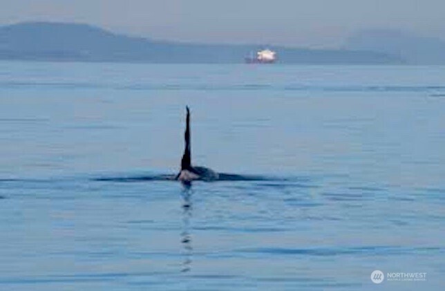 53 Smugglers Cove Road Property Photo 37