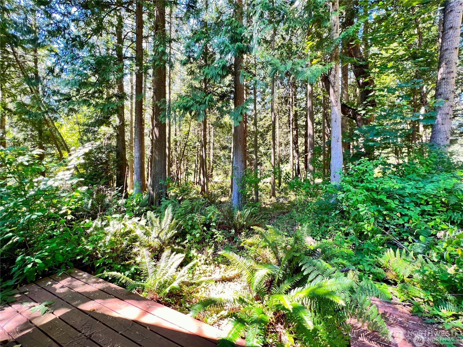 158 Tyee Drive Property Photo 3