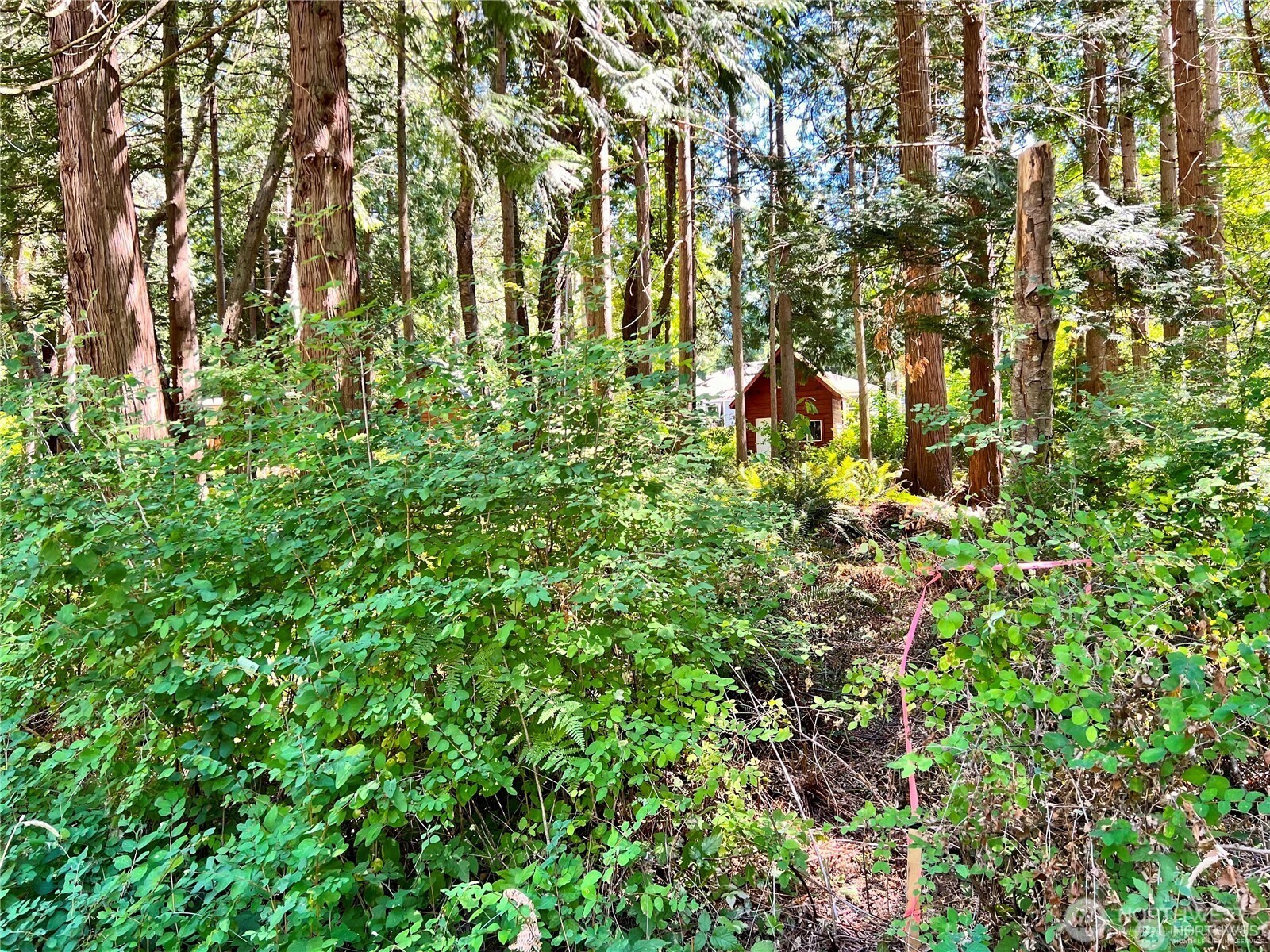 158 Tyee Drive Property Photo 4