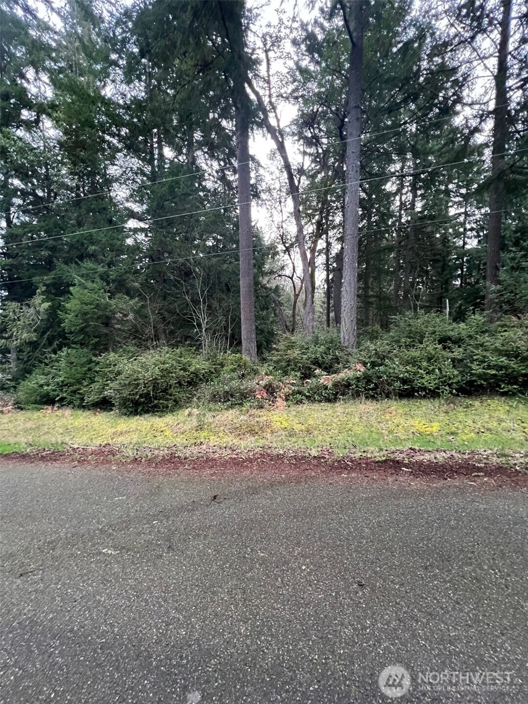 8615 Eckenstam Johnson Road Property Photo 2