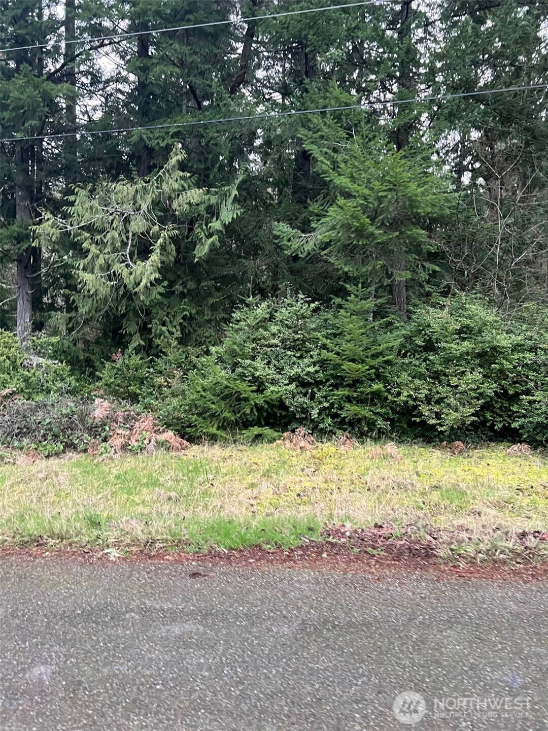 8615 Eckenstam Johnson Road Property Photo 3