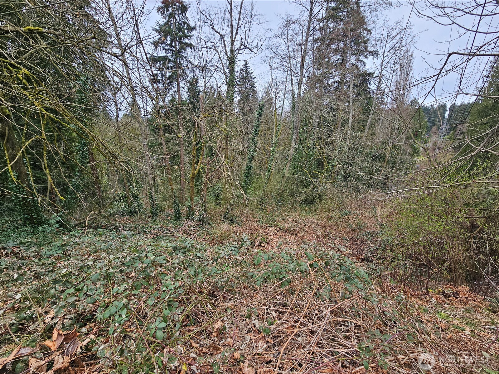 194 Xx Forest Park Drive Property Photo 2