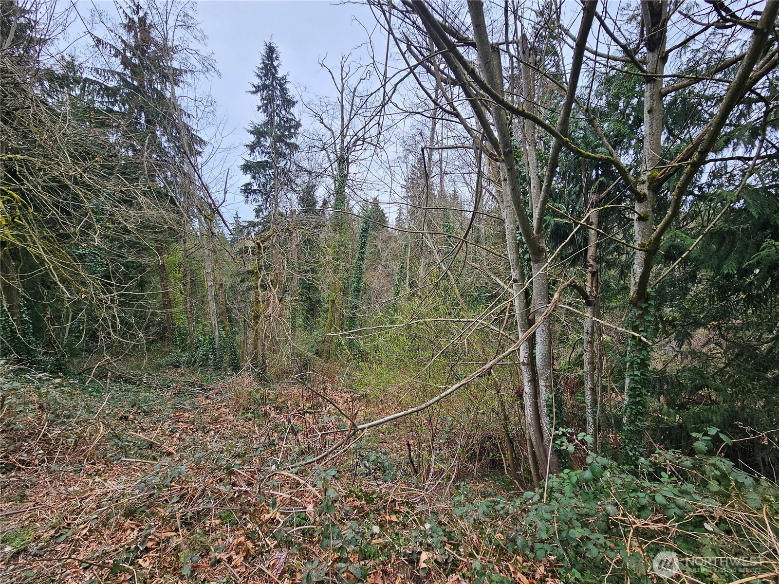 194 Xx Forest Park Drive Property Photo 3
