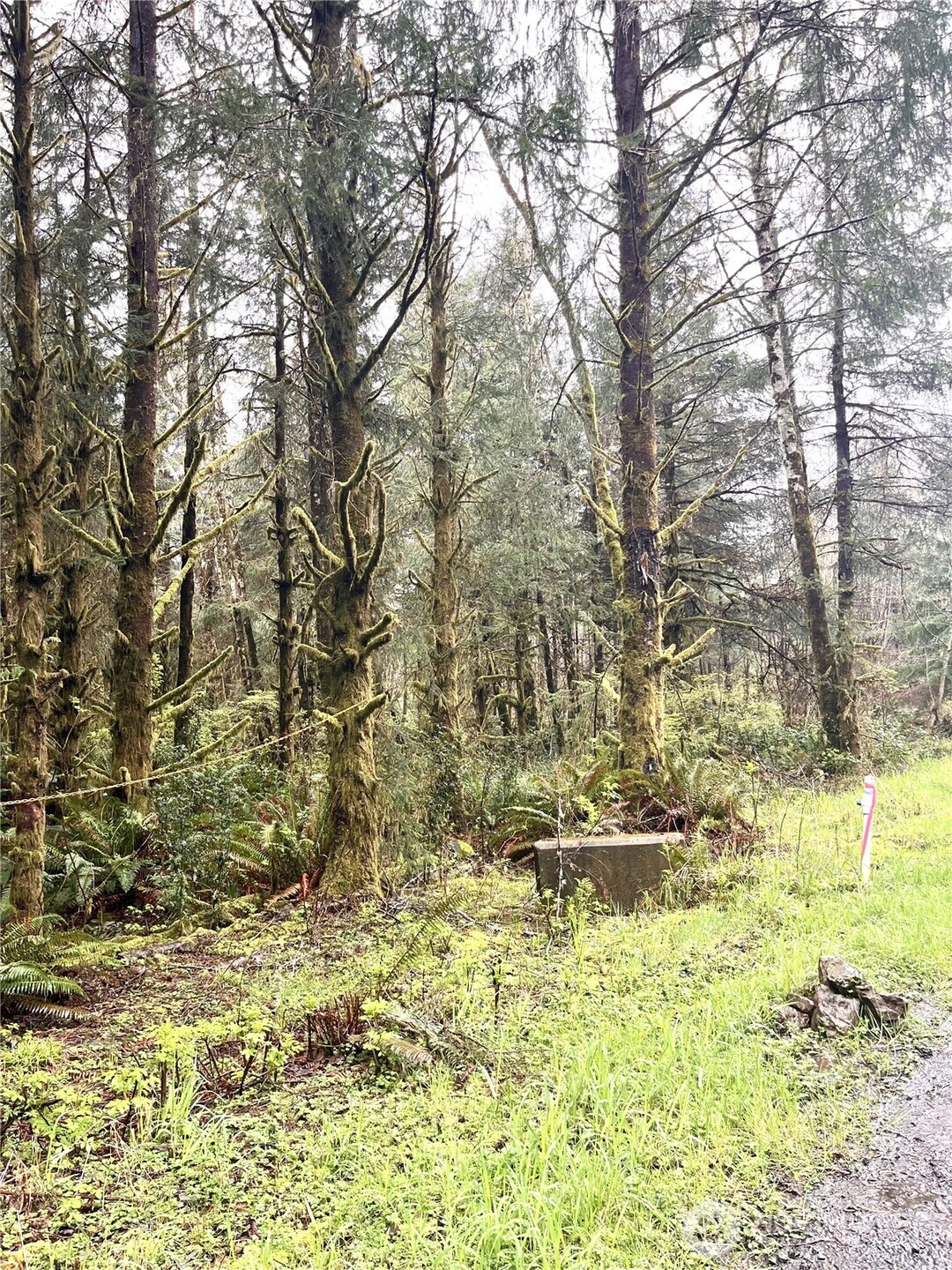 300 Lot Luttrell Lane Property Photo 1
