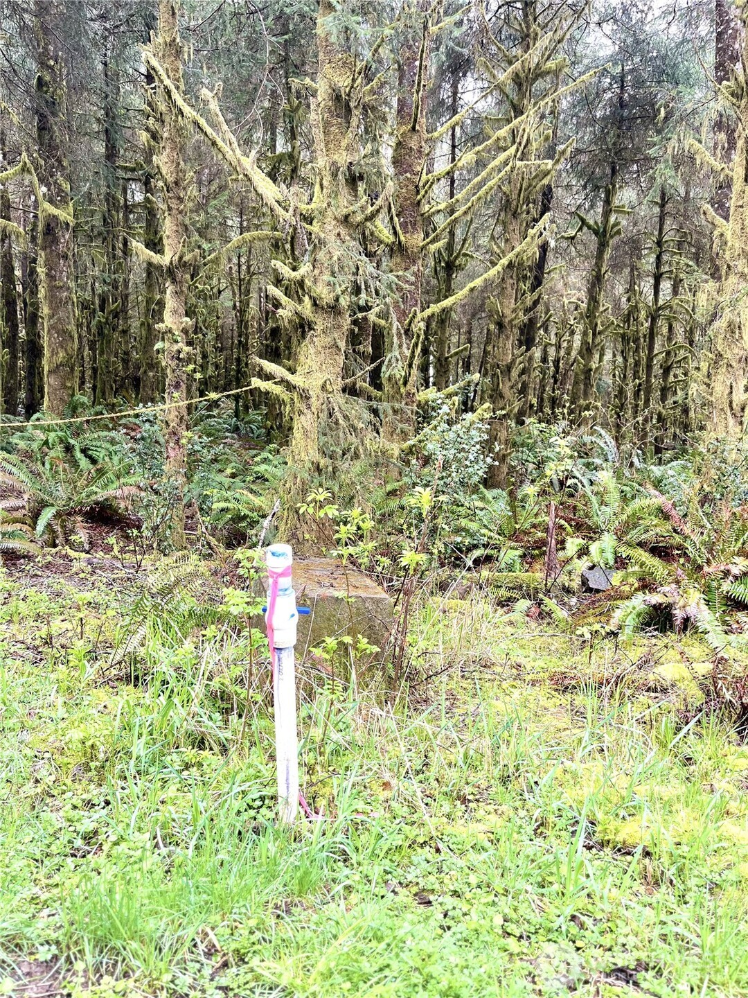 300 Lot Luttrell Lane Property Photo 6