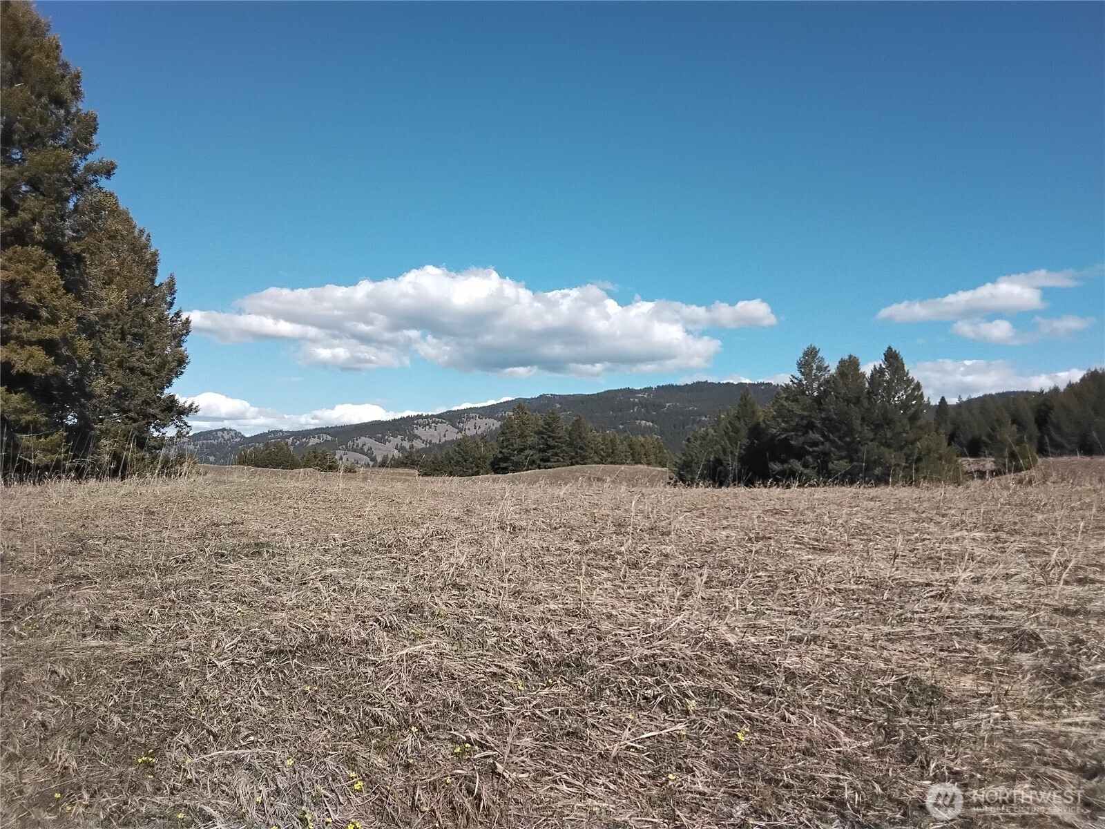 0 N. Mountain View Drive Property Photo 1