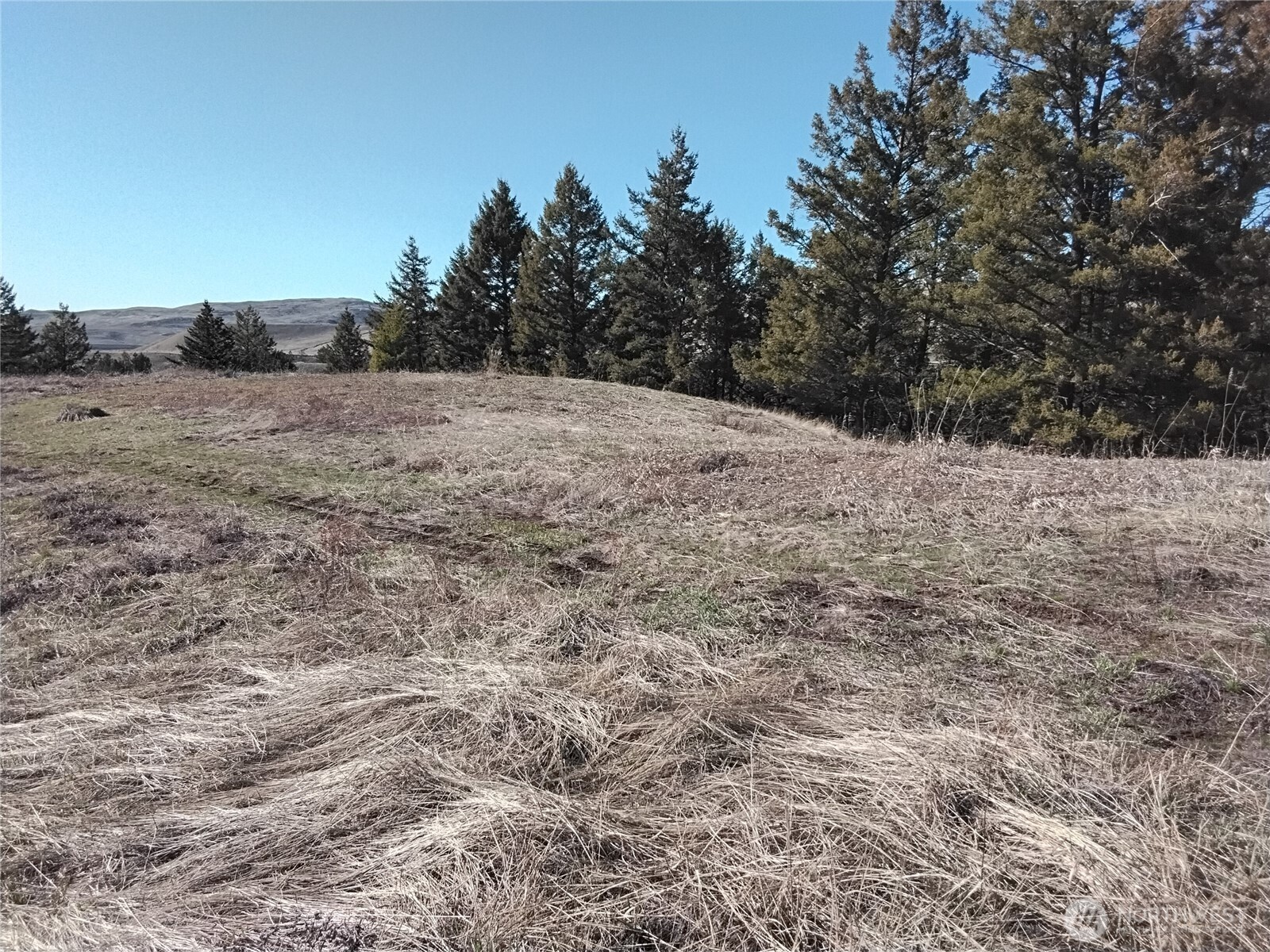 0 N Mountain View Drive Property Photo 8