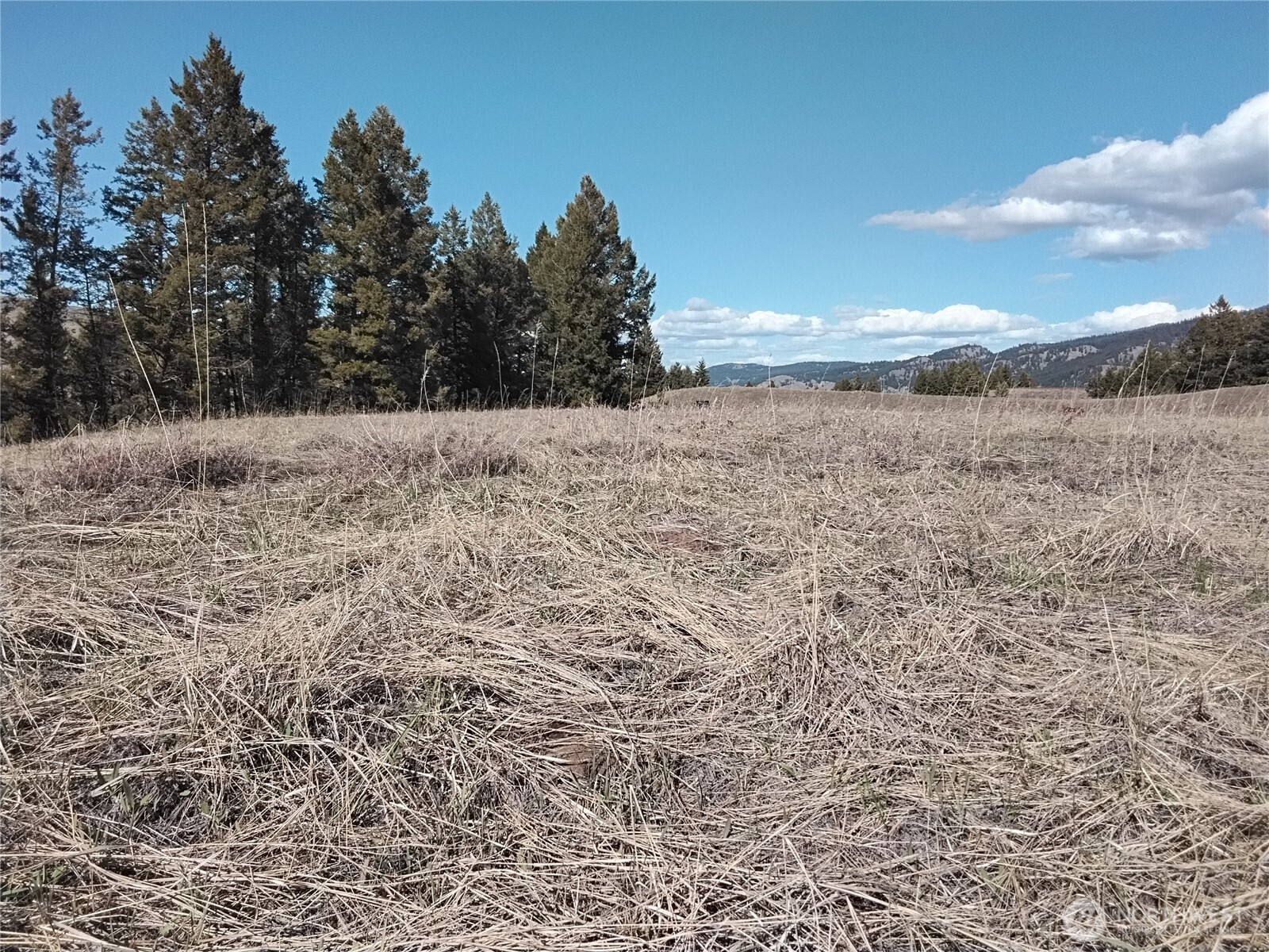 0 N Mountain View Drive Property Photo 11