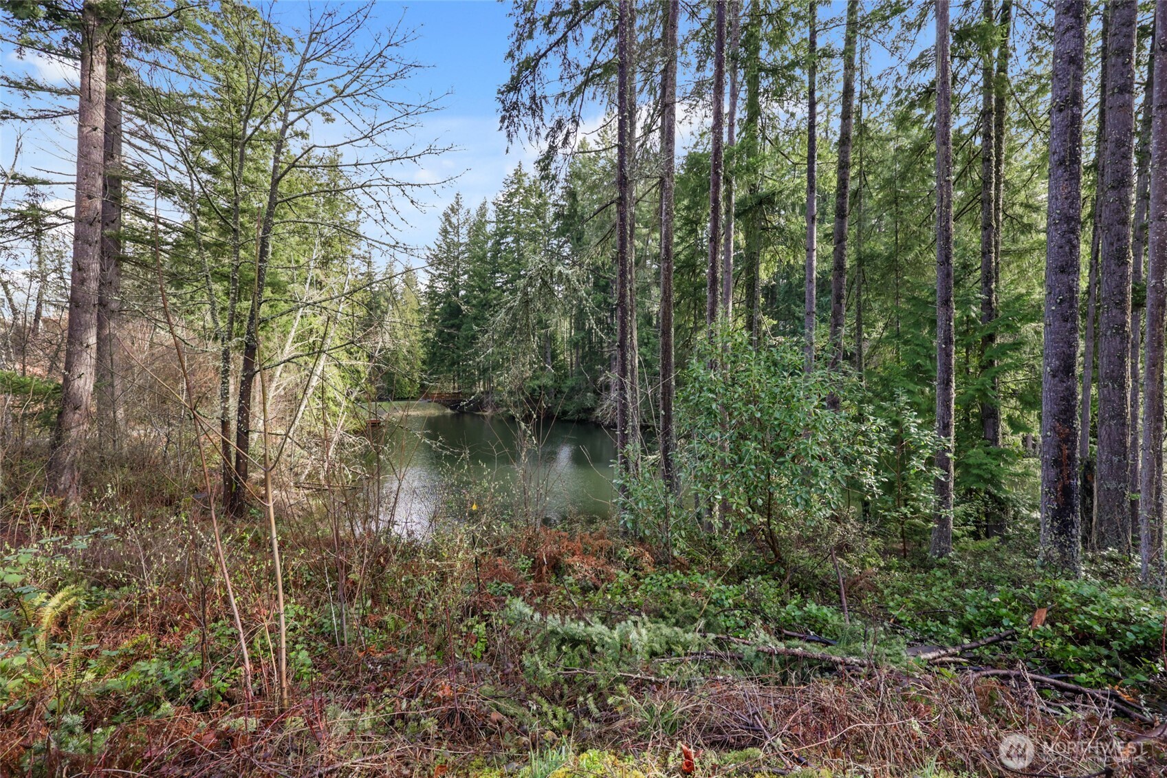 18512 Woodside Drive Property Photo 8