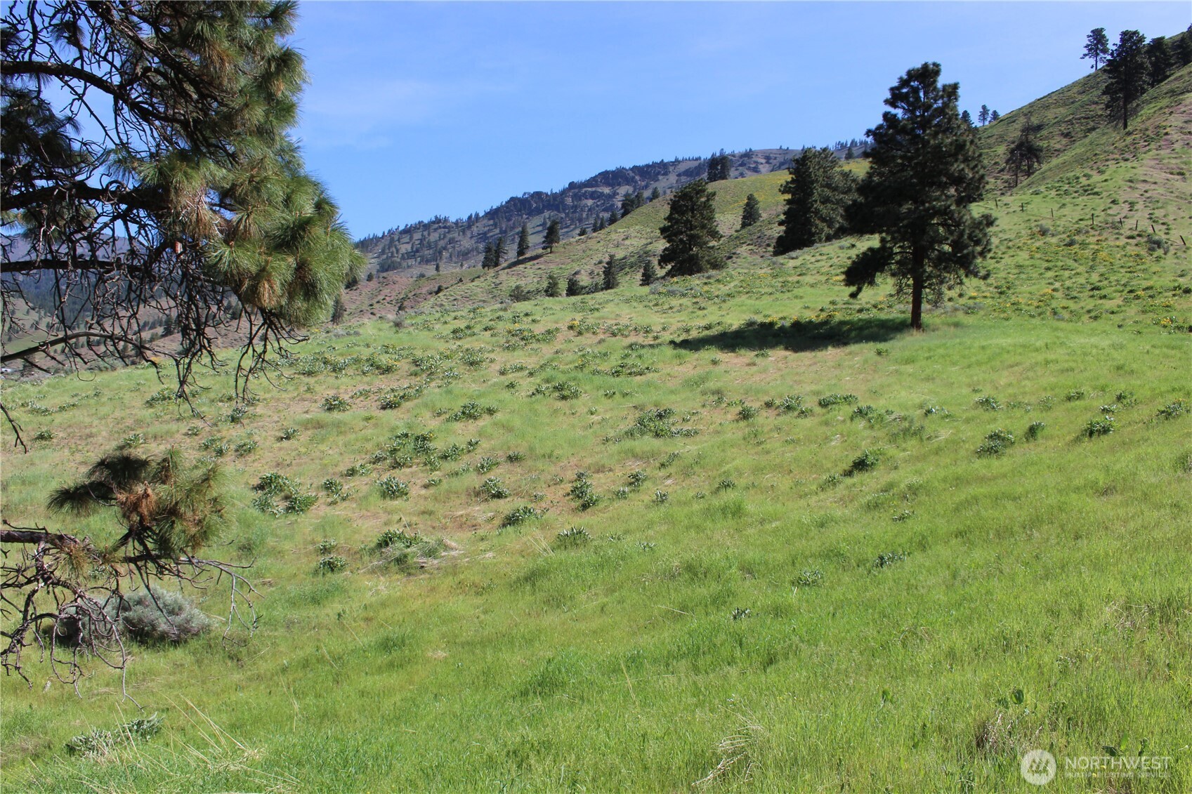 0 Nna Nahahum Canyon Road Property Photo 6