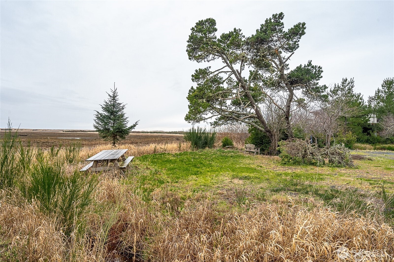 2680 -a Sunset Lane Property Photo 8