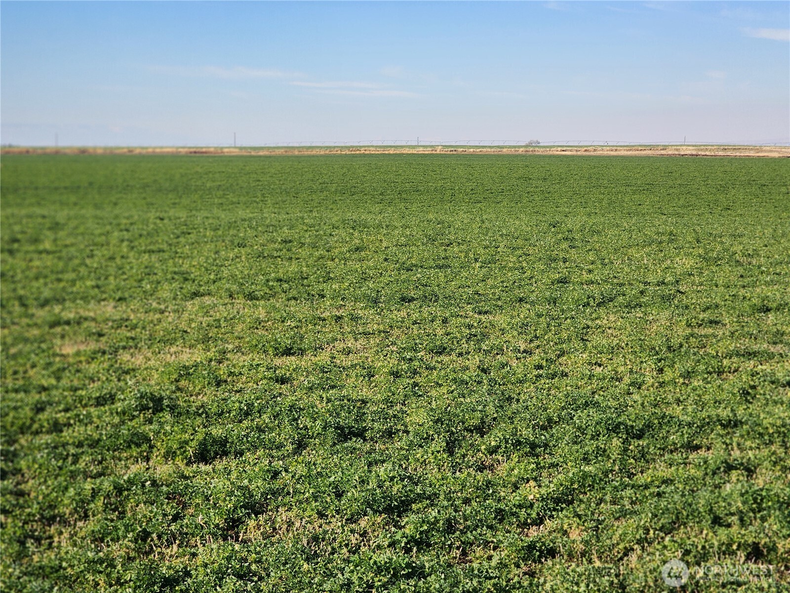 0 Nw Corner Of Rd 8 Nw & E Nw Property Photo