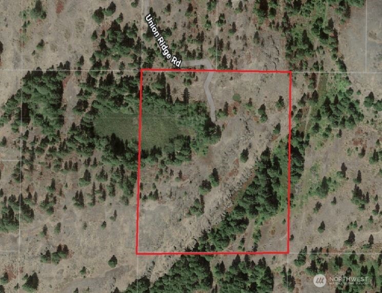 0 Xy Union Ridge Road Property Photo 4