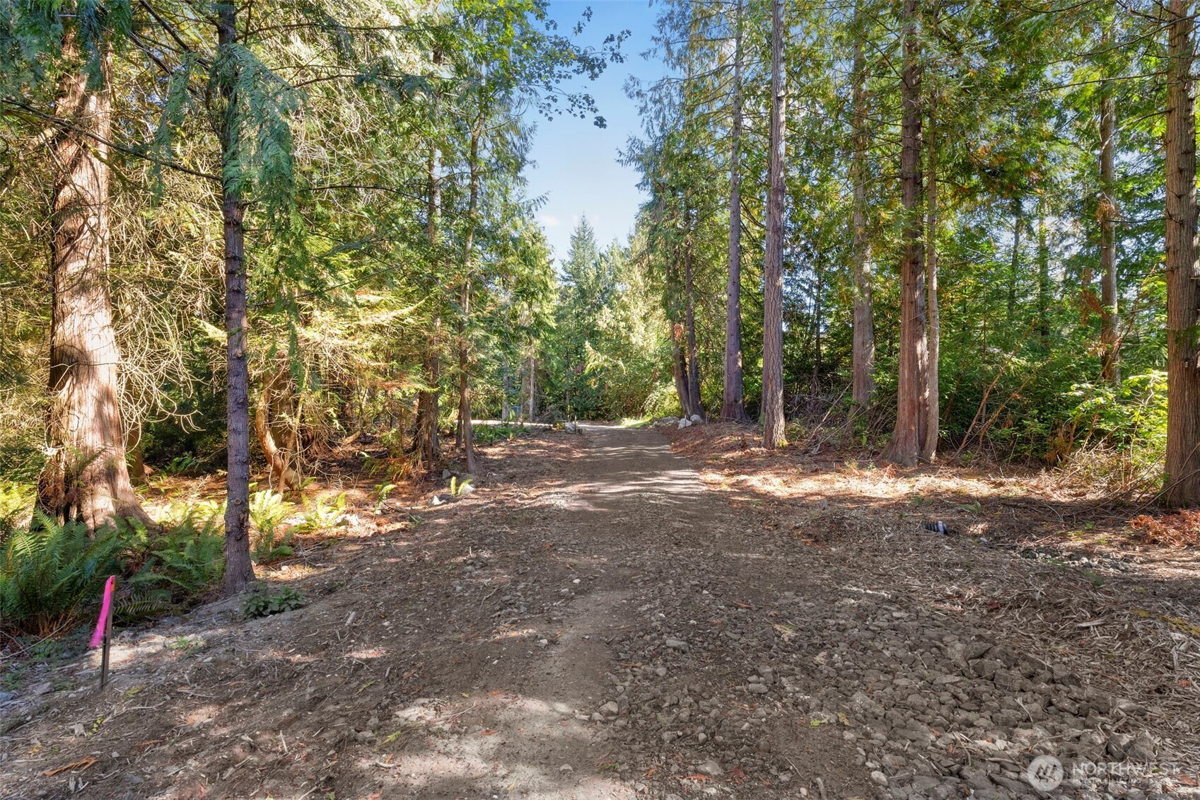 17680 Hallman Road Property Photo 11