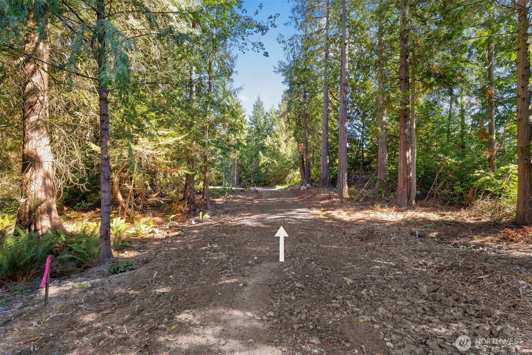 17680 Hallman Road Property Photo 12
