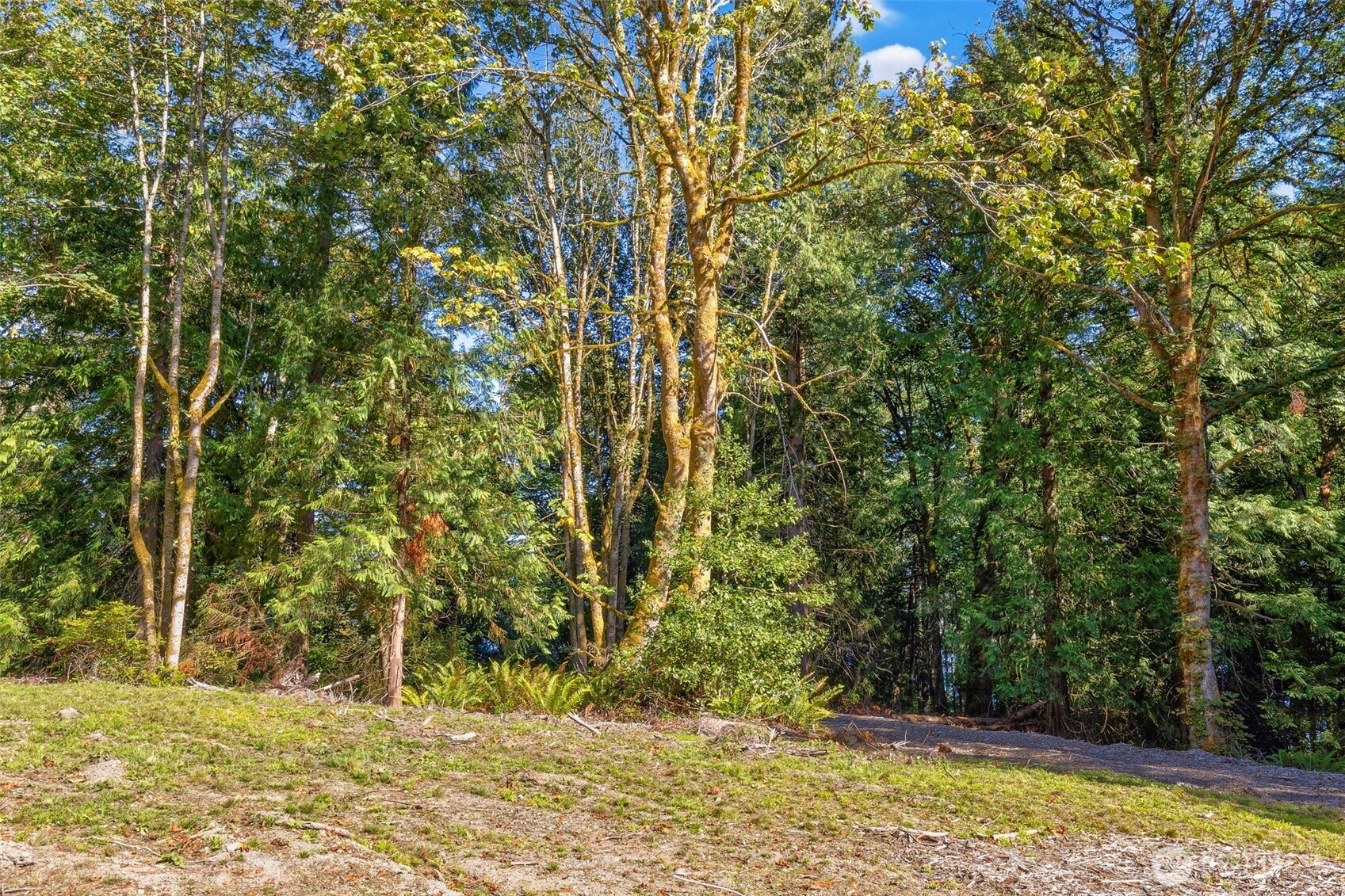 17680 Hallman Road Property Photo 16