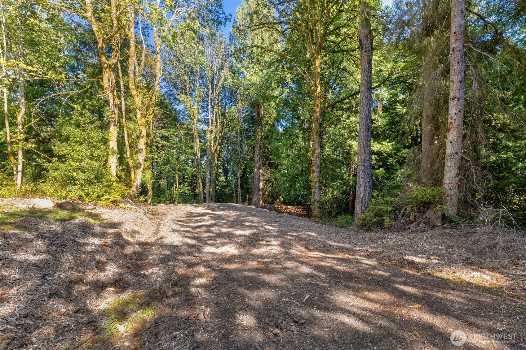 17680 Hallman Road Property Photo 17