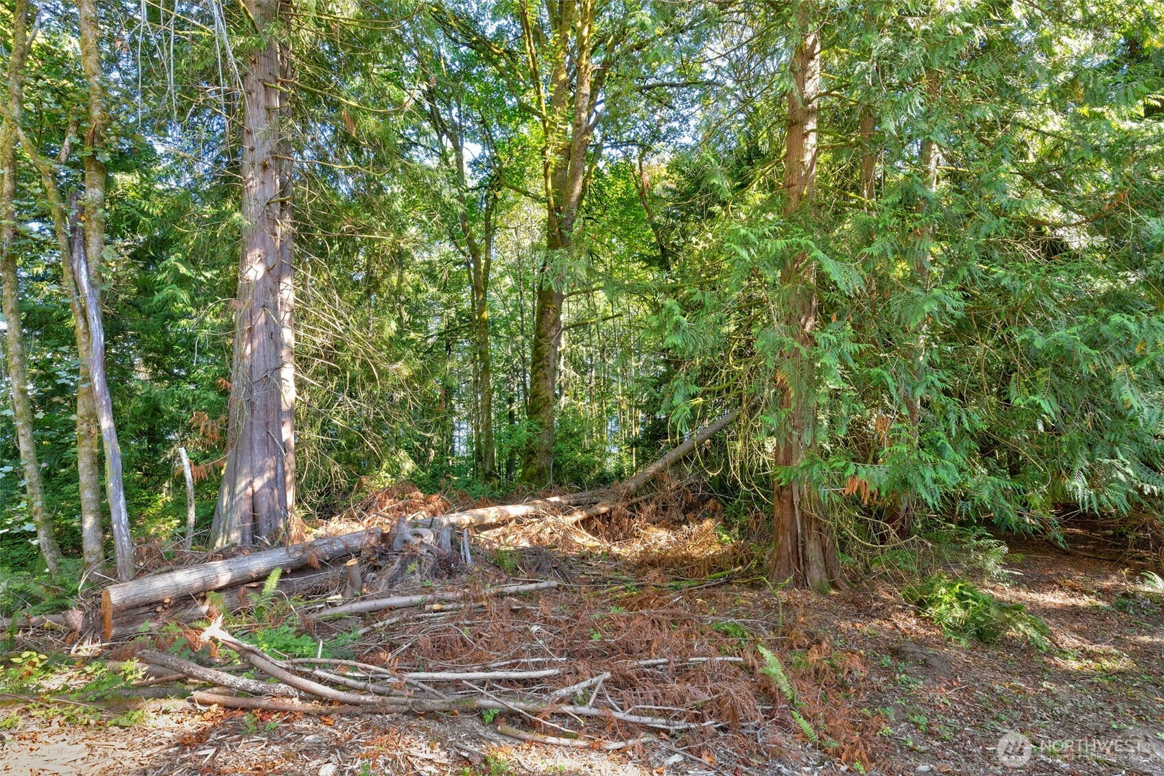 17680 Hallman Road Property Photo 18