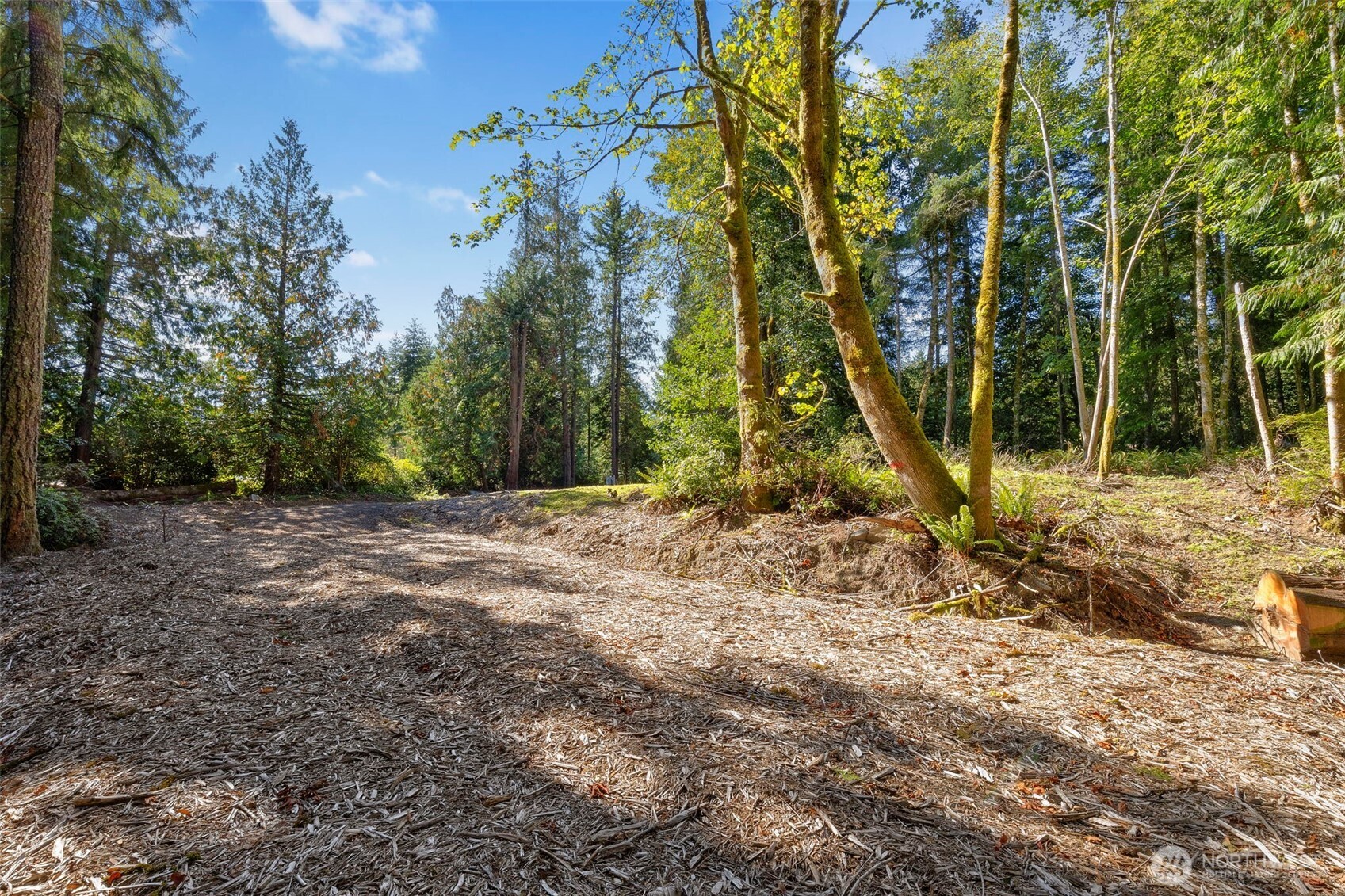17680 Hallman Road Property Photo 19
