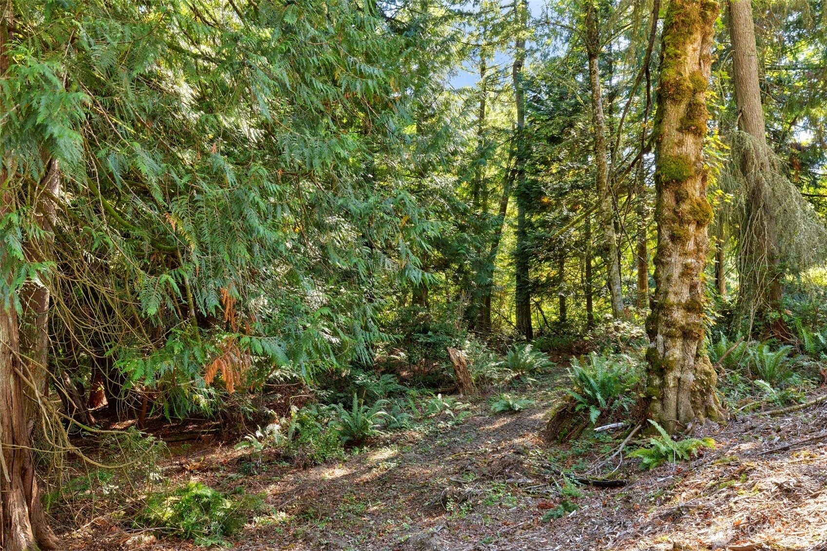 17680 Hallman Road Property Photo 22