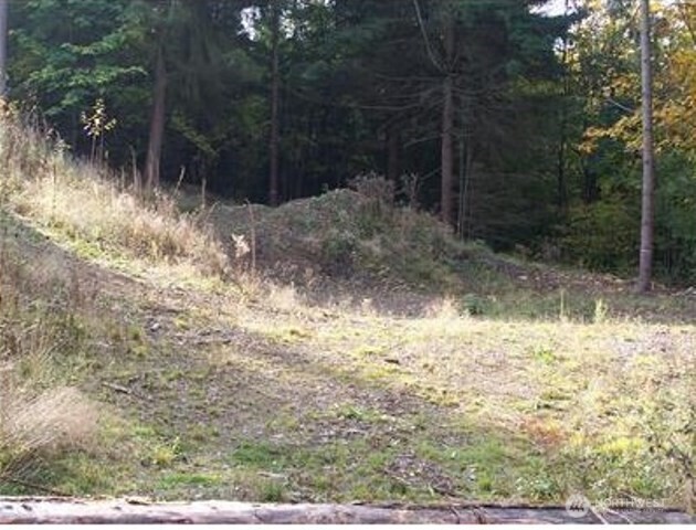 19728 Forest Canyon Road Property Photo 10