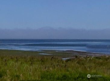 0 Xy Willapa Bay Property Photo 3