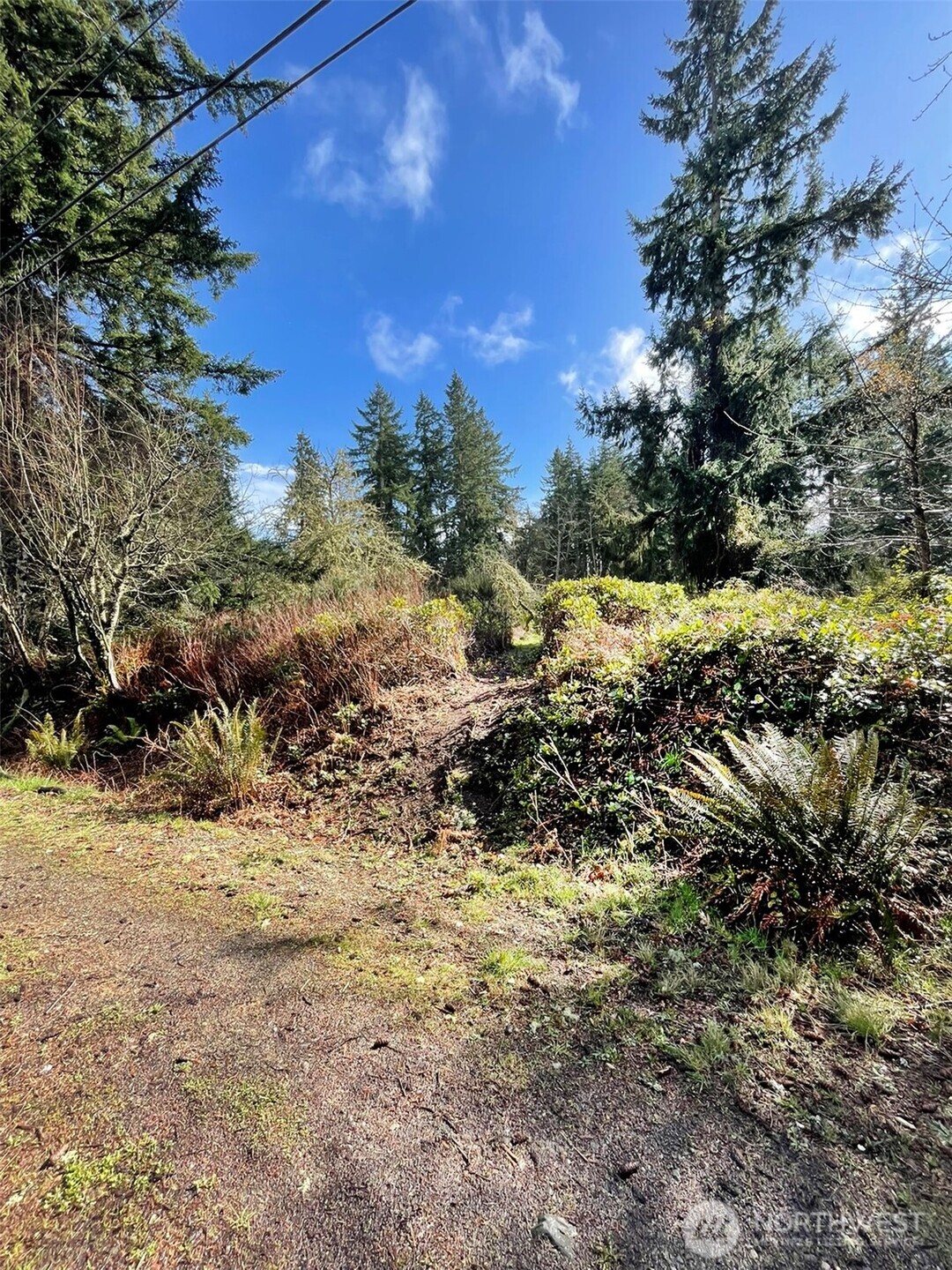 9221 Sw Bank Road Property Photo 2