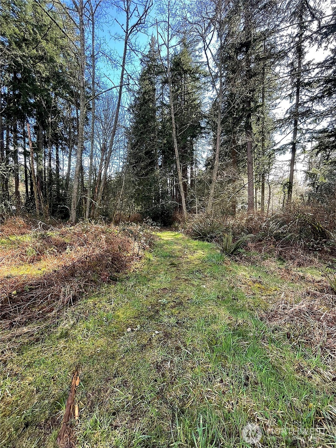 9221 Sw Bank Road Property Photo 6