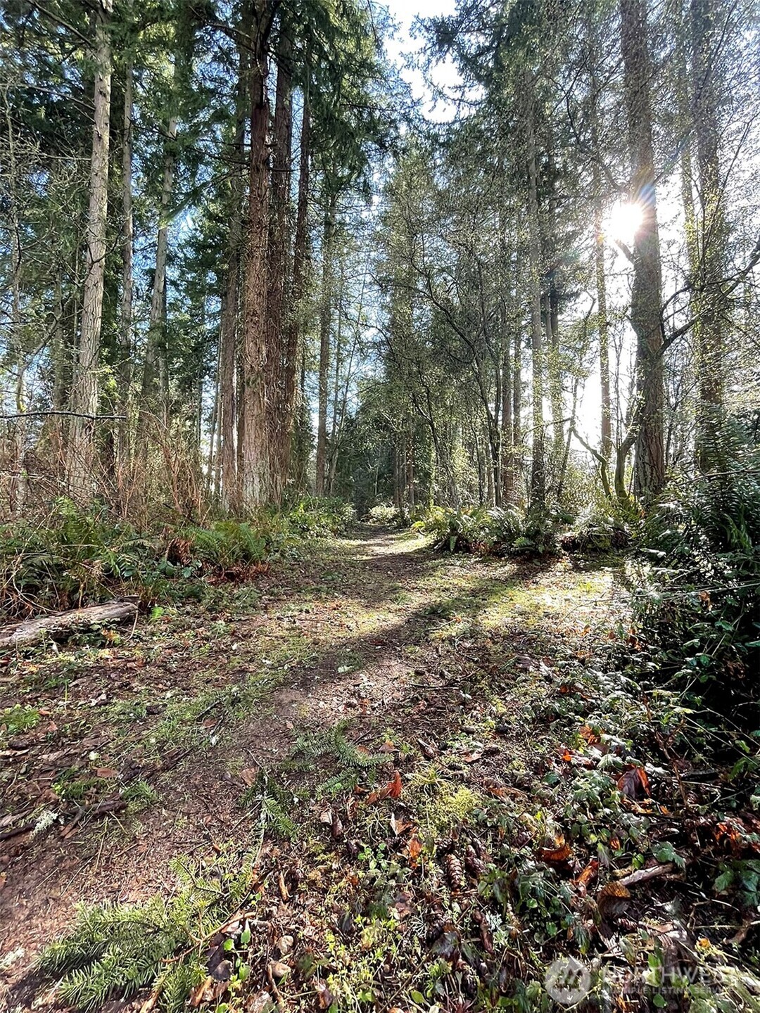 9221 Sw Bank Road Property Photo 7