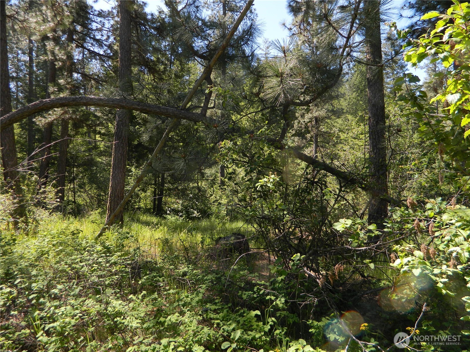 0 Tbd Murphy Ranch Road Property Photo 2
