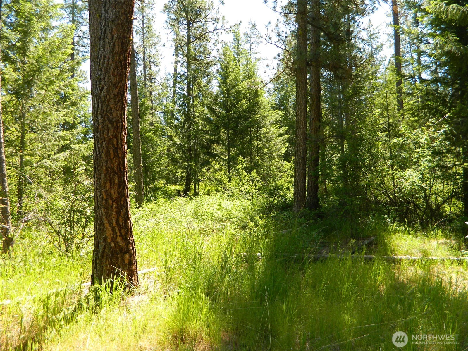 0 Tbd Murphy Ranch Road Property Photo 3