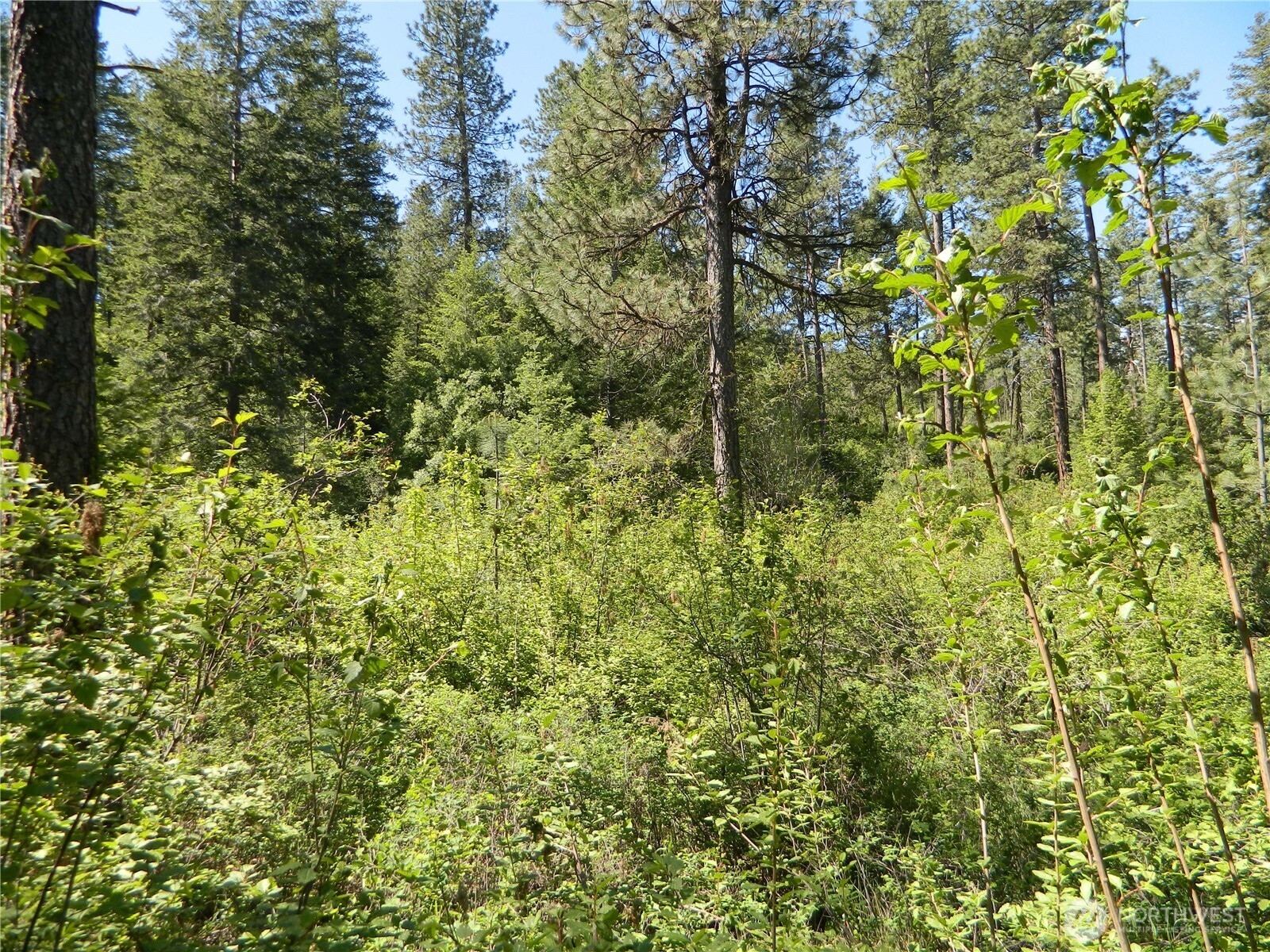 0 Tbd Murphy Ranch Road Property Photo 4
