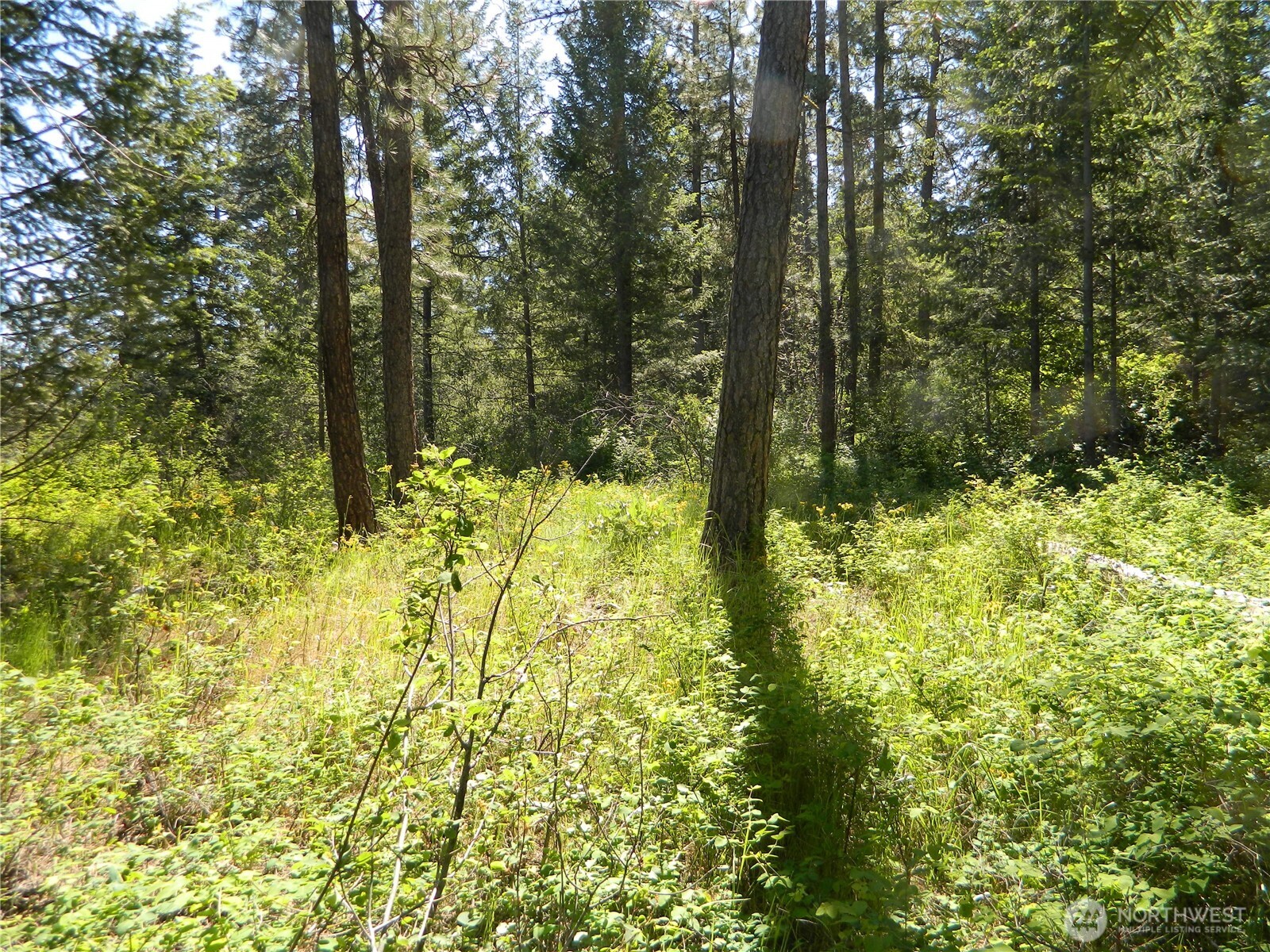 0 Tbd Murphy Ranch Road Property Photo 5