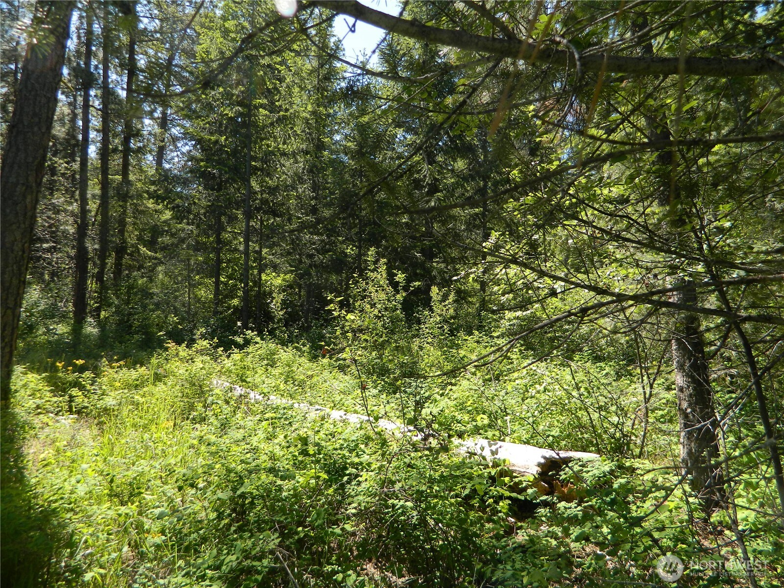0 Tbd Murphy Ranch Road Property Photo 6