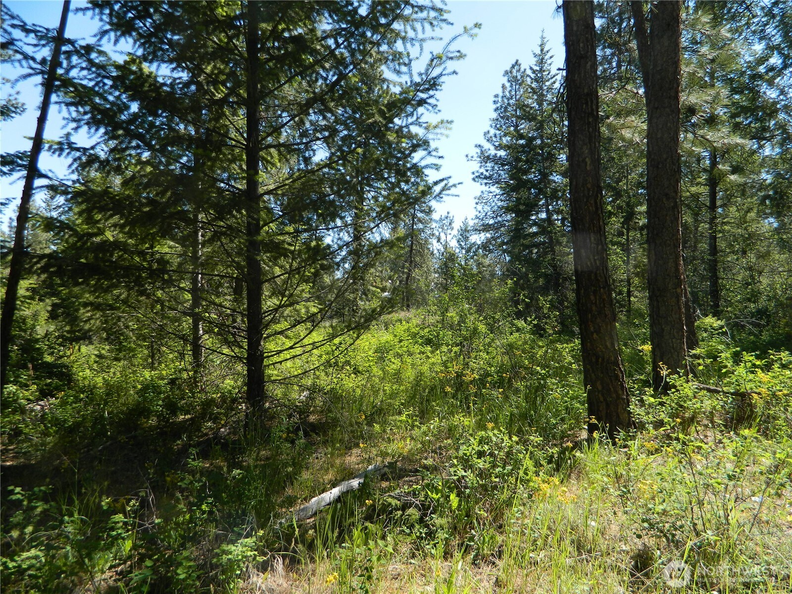 0 Tbd Murphy Ranch Road Property Photo 7