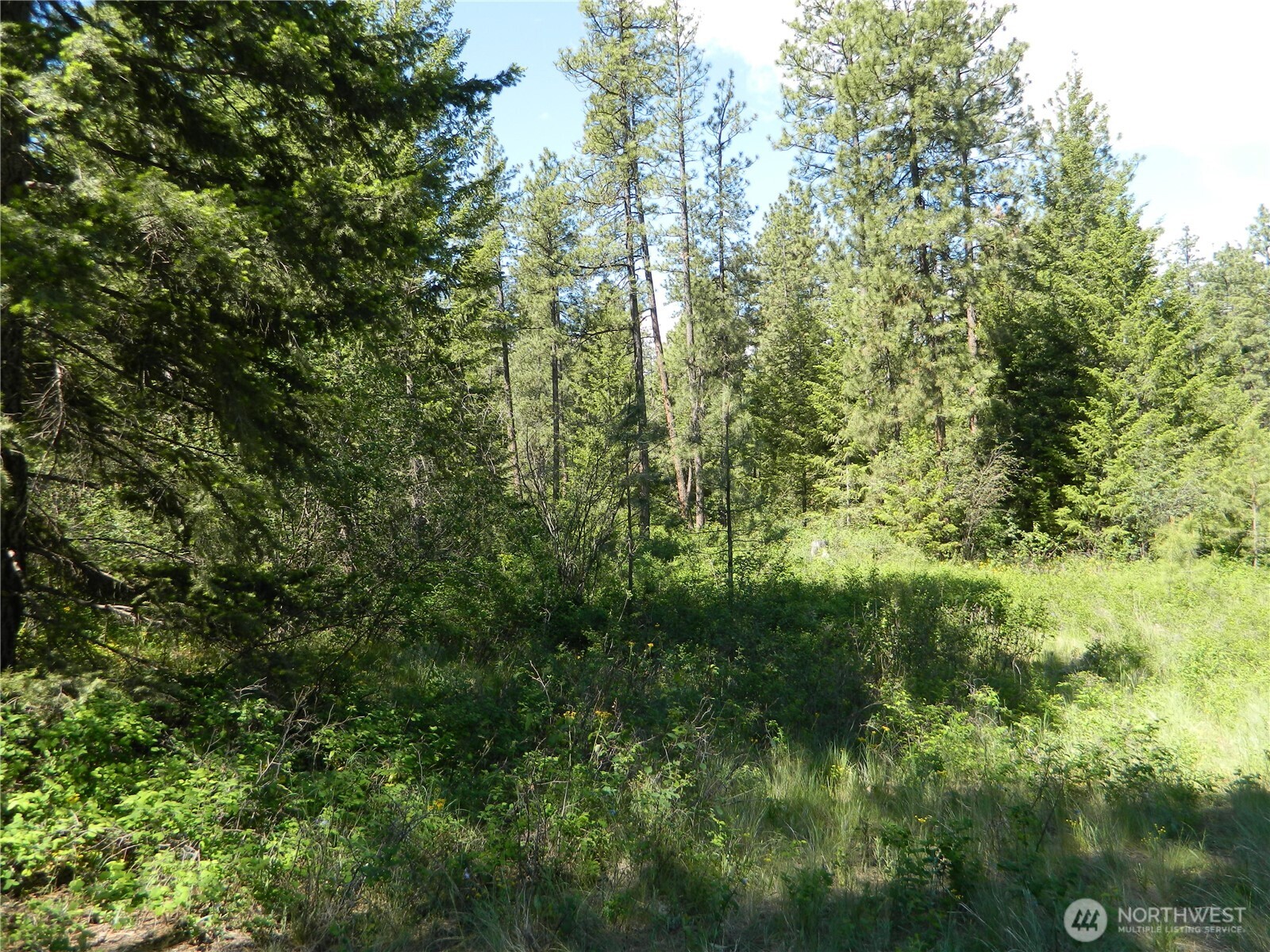 0 Tbd Murphy Ranch Road Property Photo 8