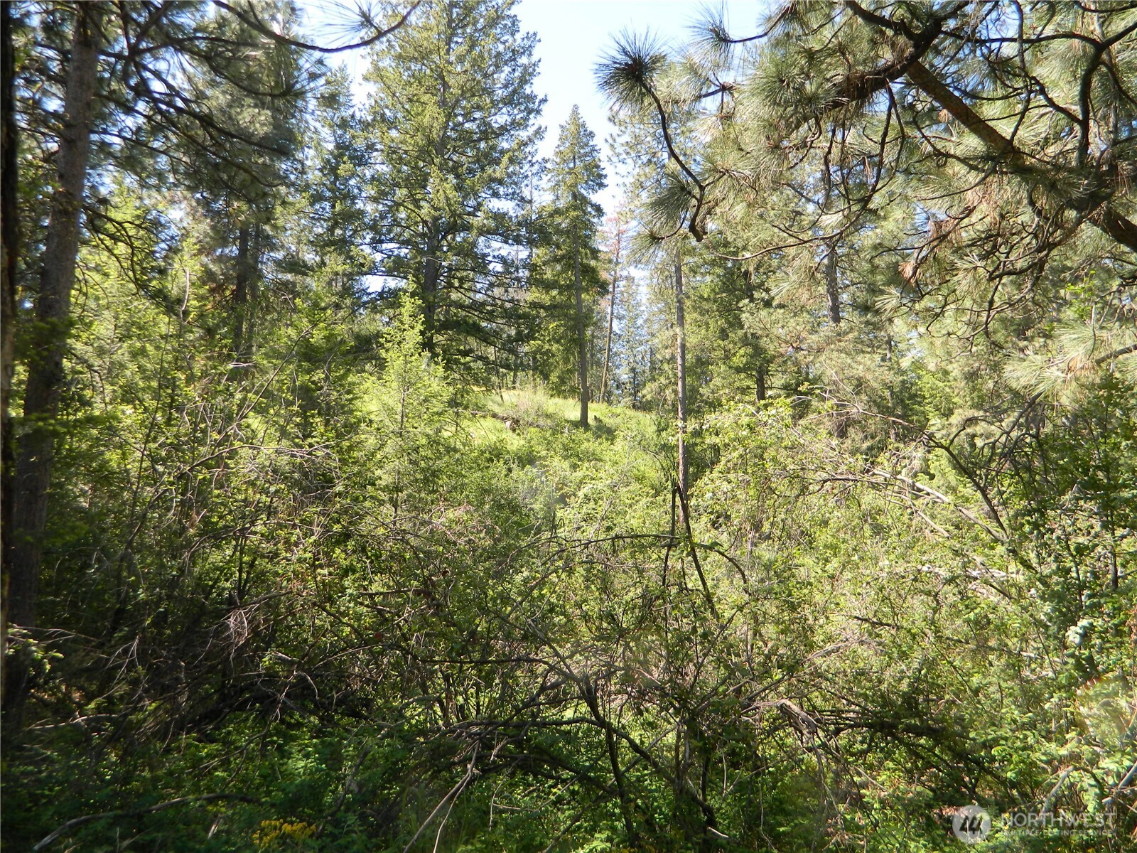 0 Tbd Murphy Ranch Road Property Photo 9