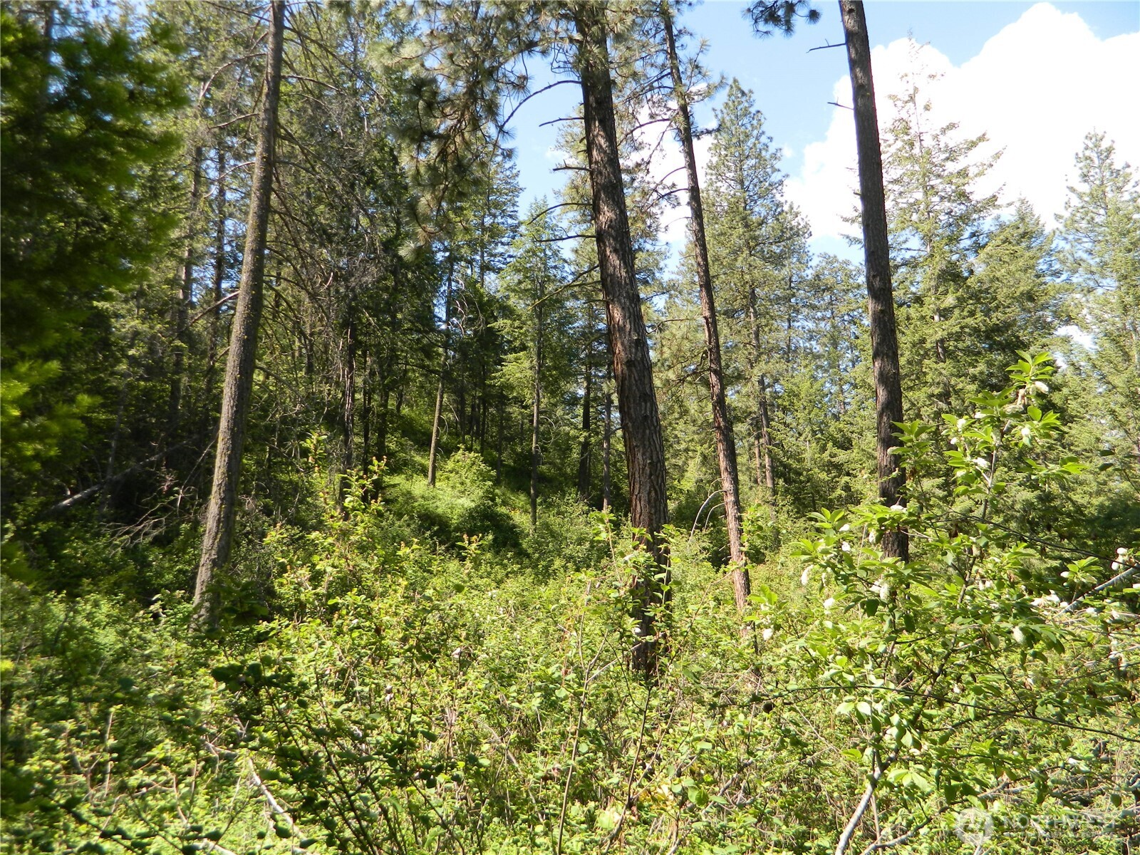 0 Tbd Murphy Ranch Road Property Photo 10