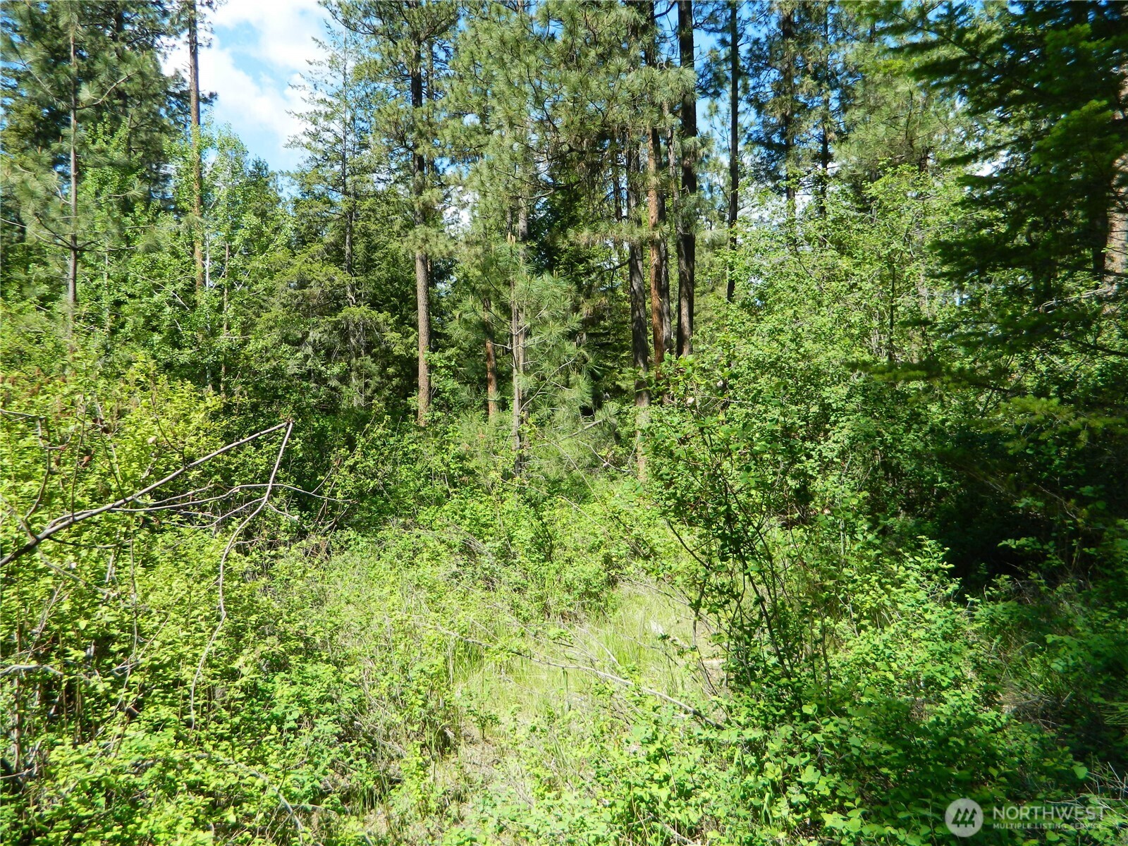 0 Tbd Murphy Ranch Road Property Photo 11