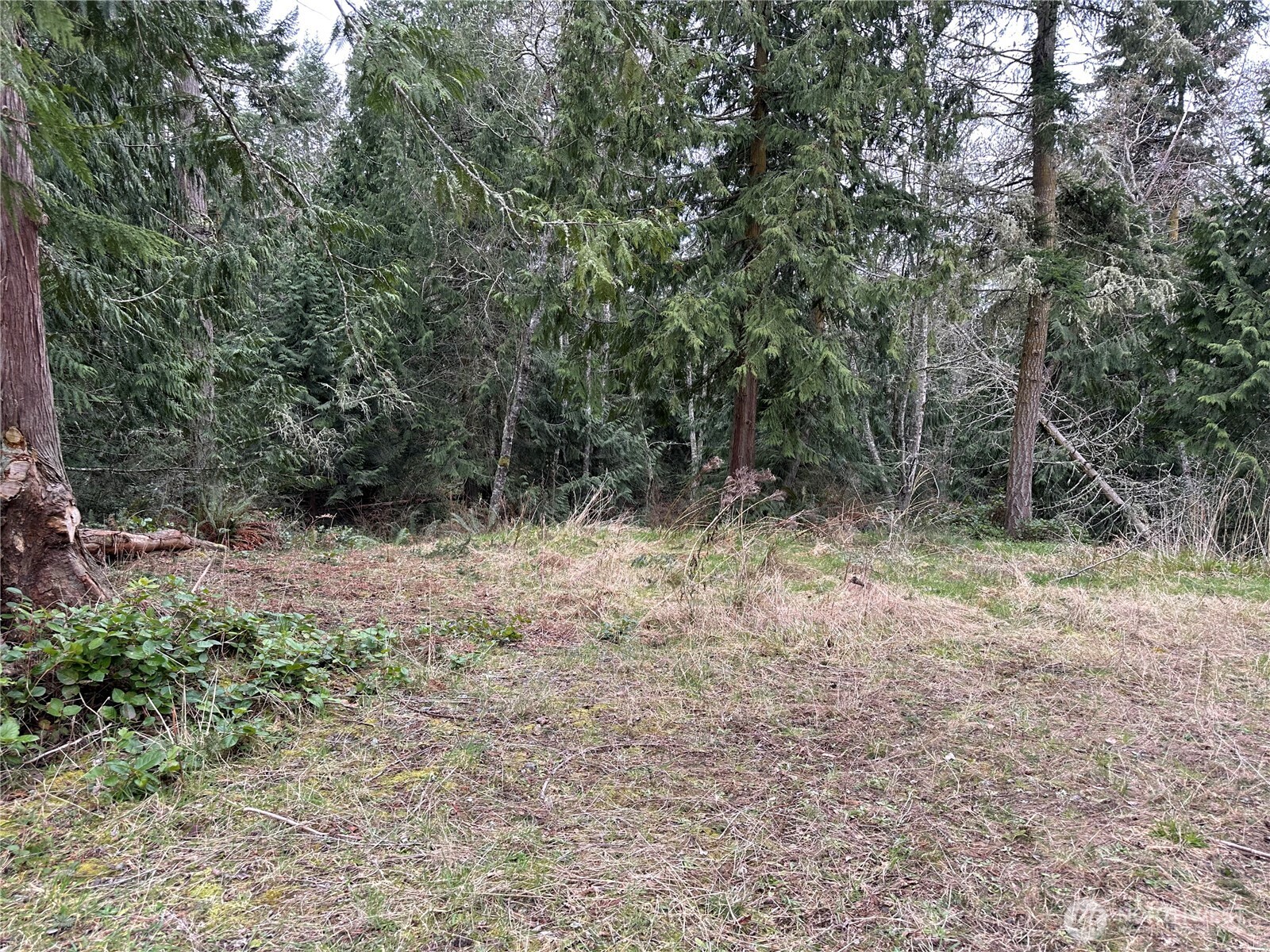 7 Xx Saddle Drive Property Photo 5