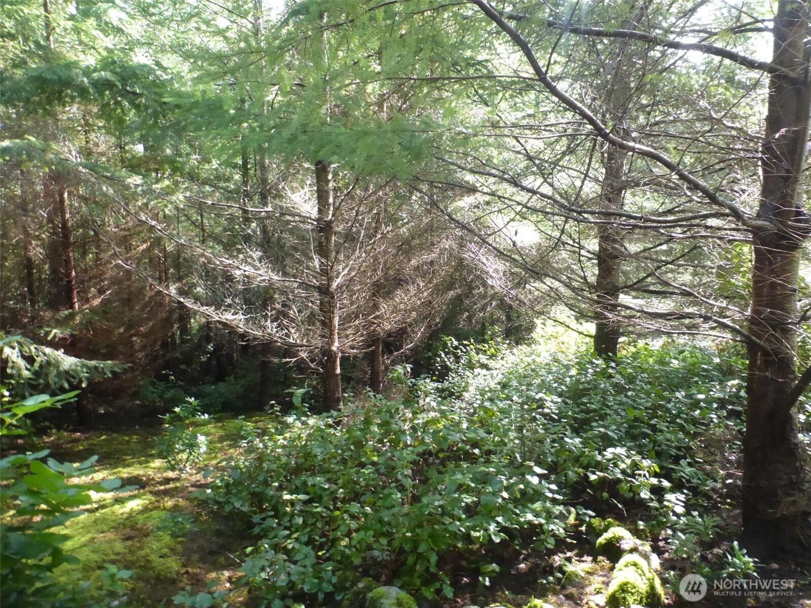 Lopez Island Real Estate Listings Main Image