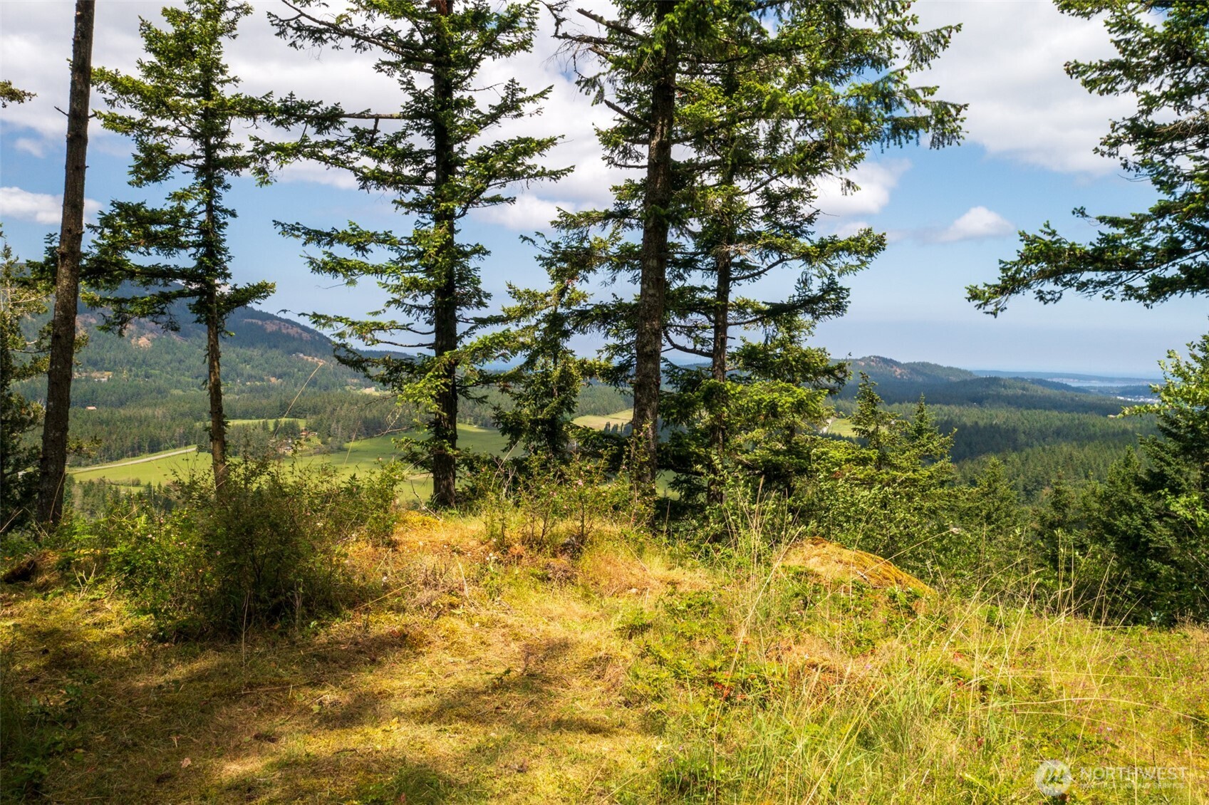 1700 Mountain Crest Property Photo 2