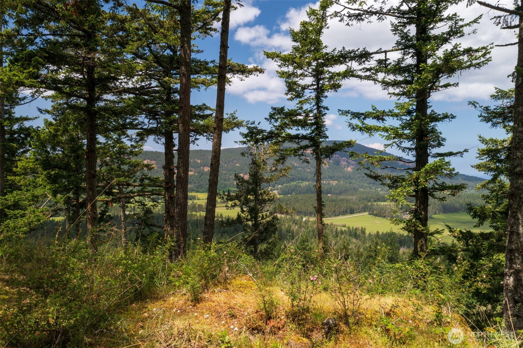 1700 Mountain Crest Property Photo 4