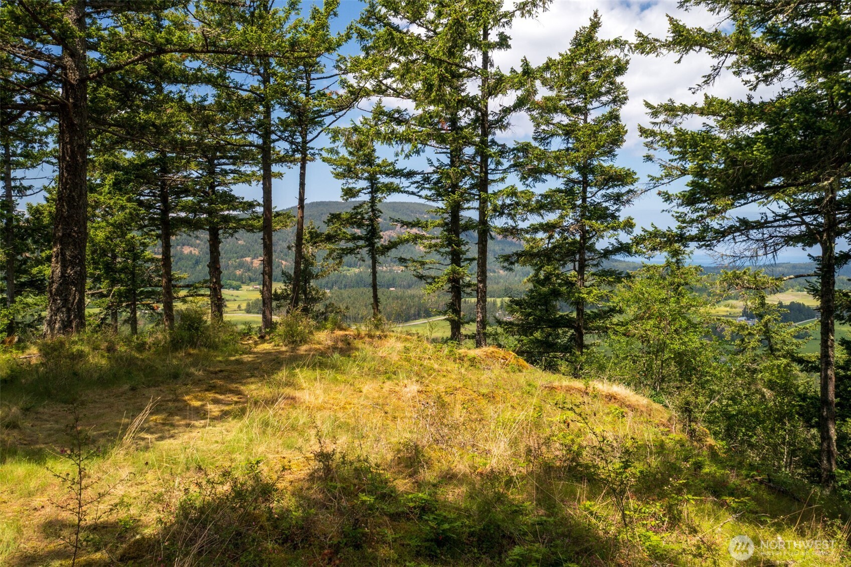 1700 Mountain Crest Property Photo 5