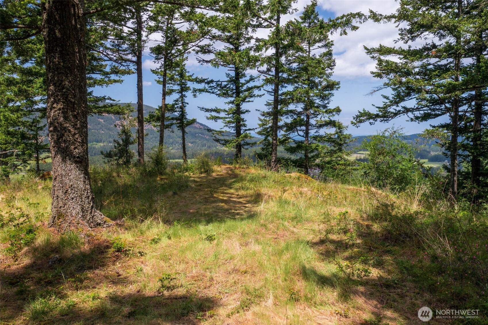 1700 Mountain Crest Property Photo 6