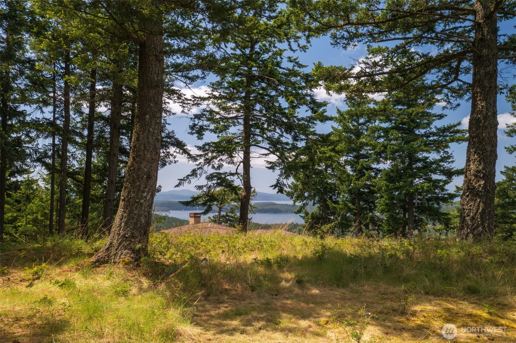 1700 Mountain Crest Property Photo 7