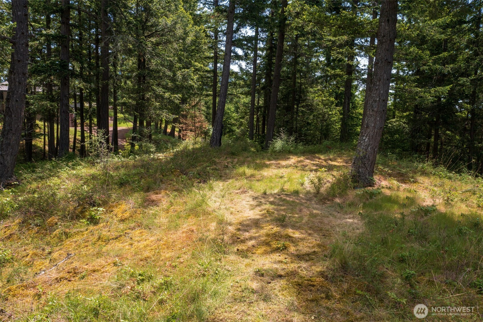 1700 Mountain Crest Property Photo 8